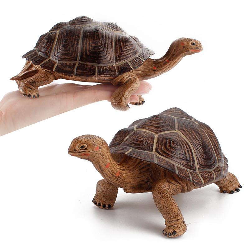 Figurine Statique Modèle Tortue Terrestre en PVC pour Enfants avec Design Réaliste pour Collectionneurs et Enfants