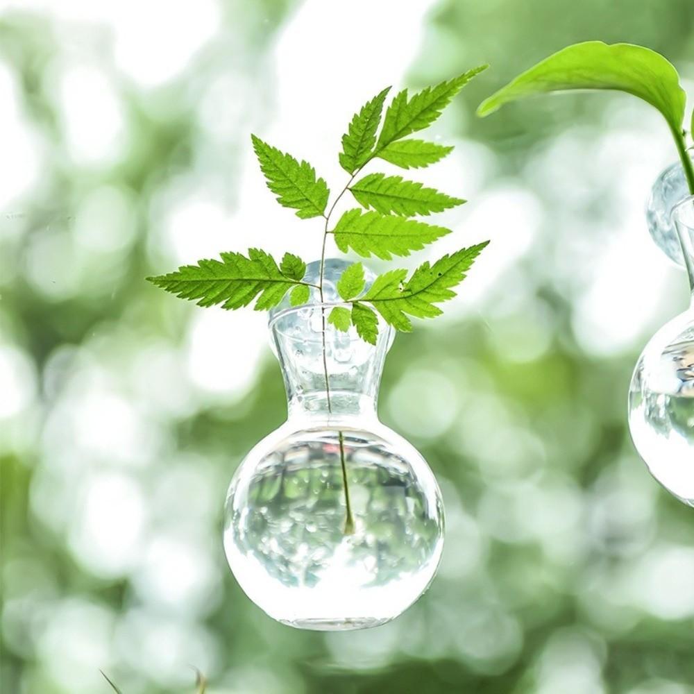 4pcs/set with Suction Cups Plant Hydroponic Vase Transparent Hanging Fish Tank  Living Room