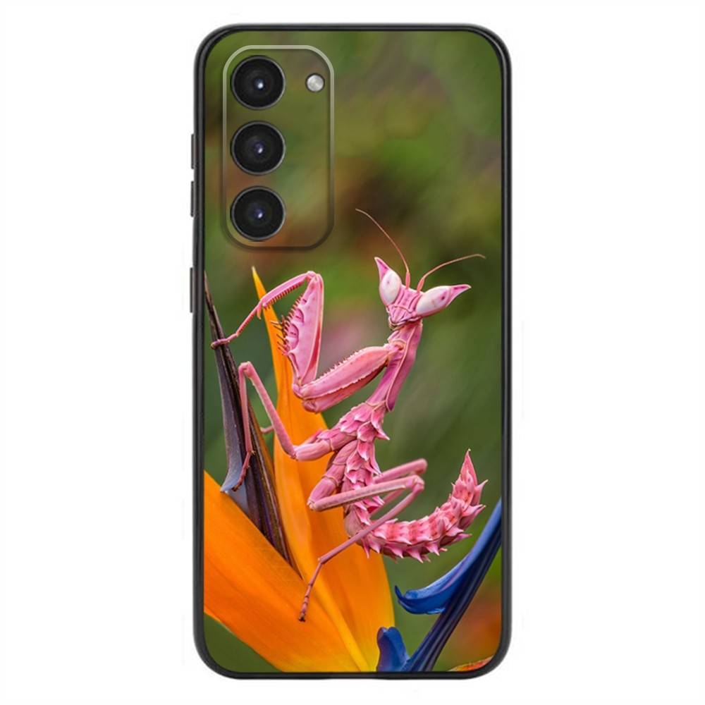 

Funny Cute Cool Mantis Phone Case For Samsung Galaxy A20,21s,22,31,32,52,53,72,73,80,91 Soft Silicone Black Cover Samsung a325g