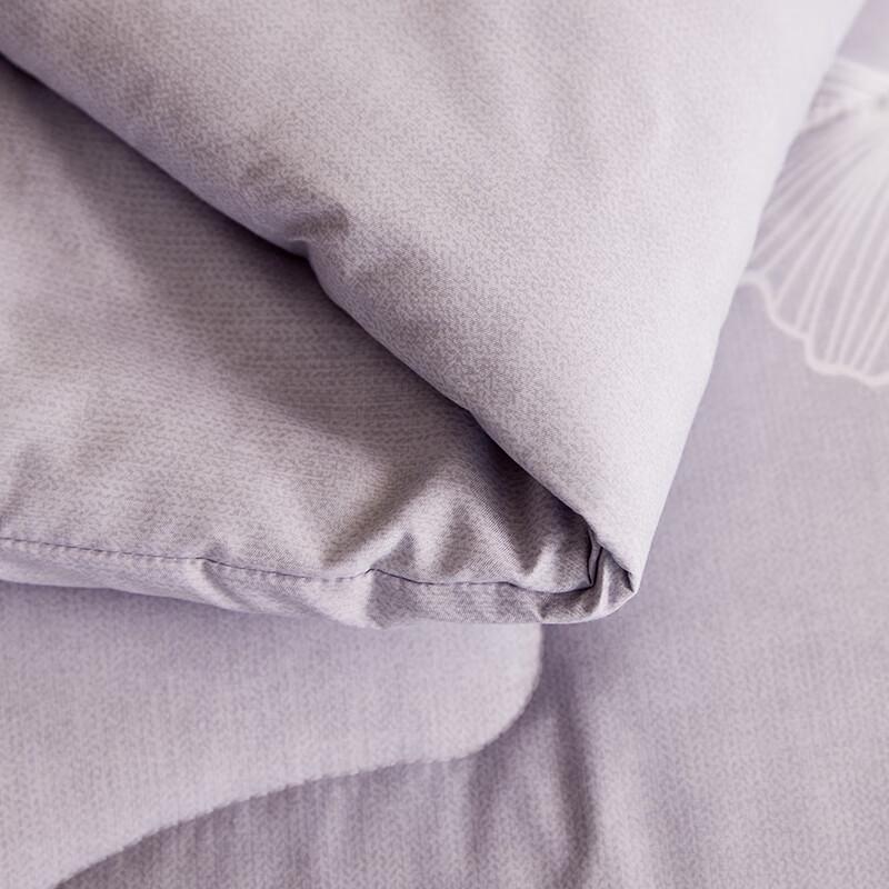 Hengyuanxiang All-Season Comfort Comforter