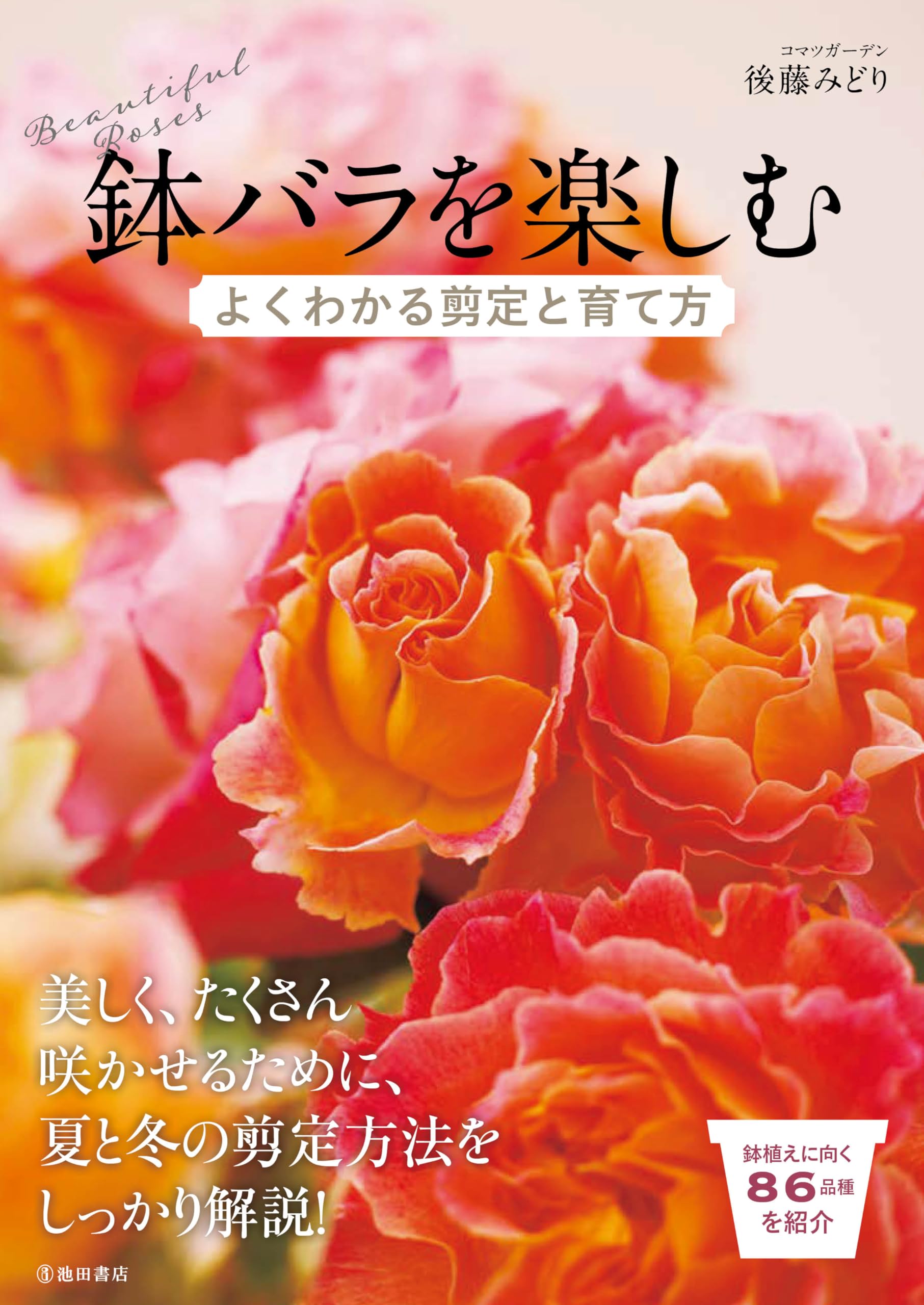 Profiter de la taille et des méthodes de culture en pot Roses Facile à comprendre orange