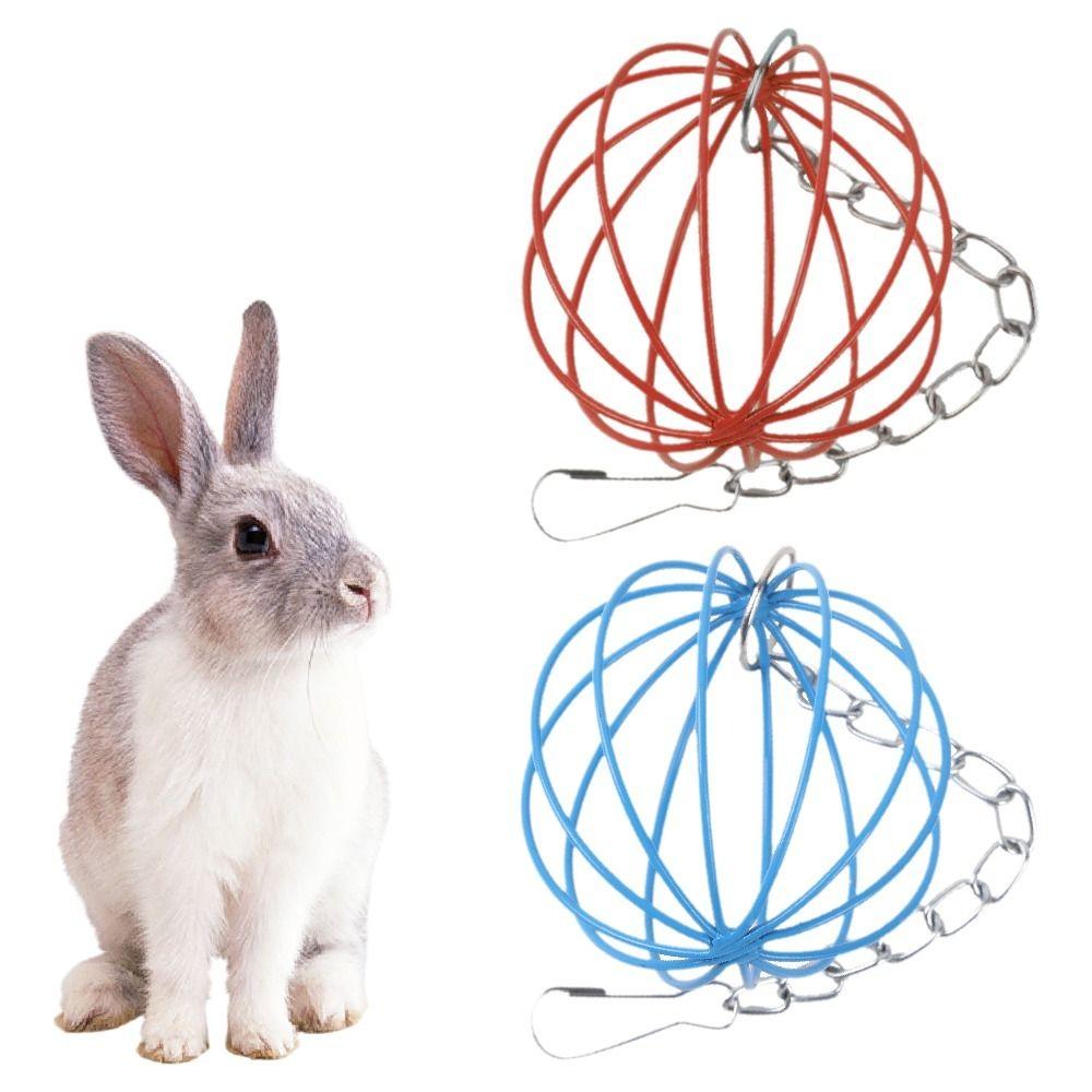 Stainless Steel Rabbit Grass Feeder Round Hanging Grass Ball Hay Feeder Ball  Chew Toys