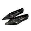 2025 Spring and Summer New Pointed Low Heel Not Tired Feet Single Shoes French with Skirt Temperament Thick Heel Women's Shoes