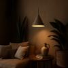 Lampa Wisząca Capital 1 Gx53 Kaszmir Milagro Mlp2469
