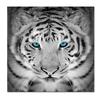 Black and White Tiger with Blue Eyes Canvas Paintings Wild Animal Posters Prints Wall Art Pictures for Living Room Decor Cuadros
