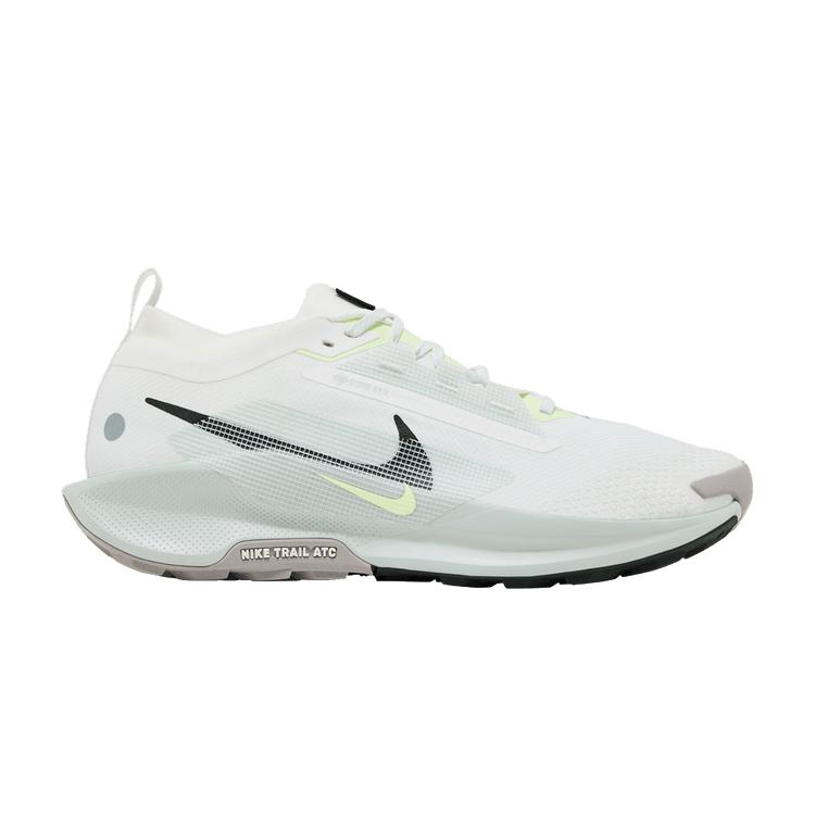 Nike Pegasus Trail 5 Gore-Tex Summit