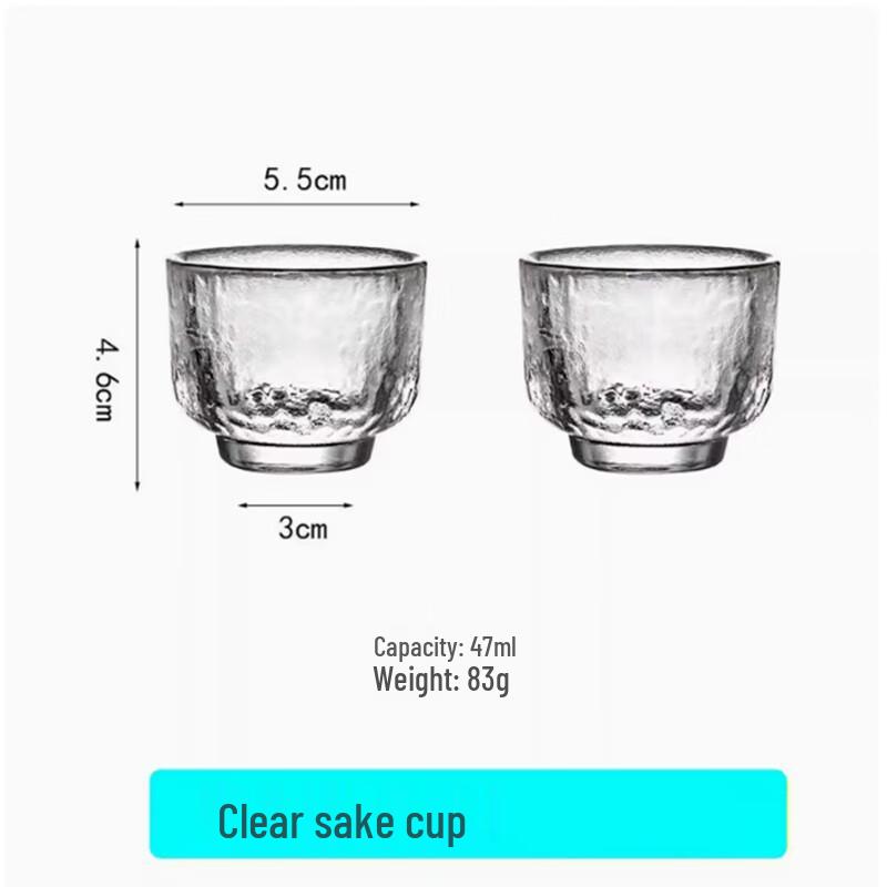 Japanese Glass Sake Carafe and Cup Set
