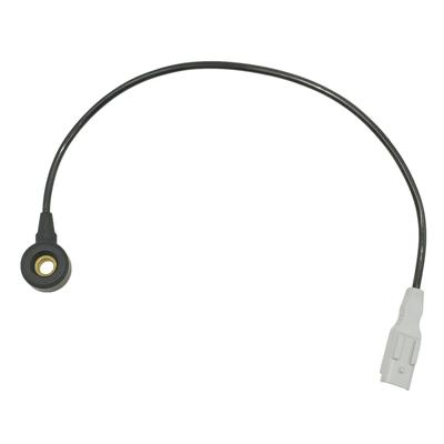 With Wire Detonation Sensor 6H4Q-12A699-AB