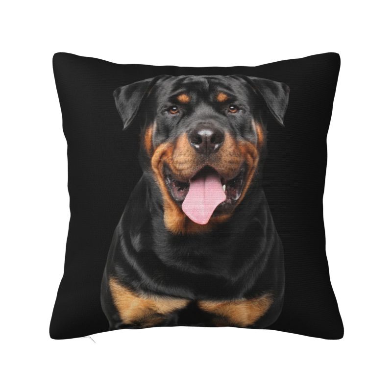 French Bulldog Cushion Cover 45x45cm Frenchie Dog Velvet Luxury Throw Pillow Case for Sofa