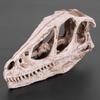 ZK50 Resin Dinosaur Skull Model Simulated Animal Skeleton Home Office Decor Craft Teaching Prop