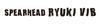 Duo Spearhead Ryuki Vib 45S Sinking Lure ADA4013 (6299)