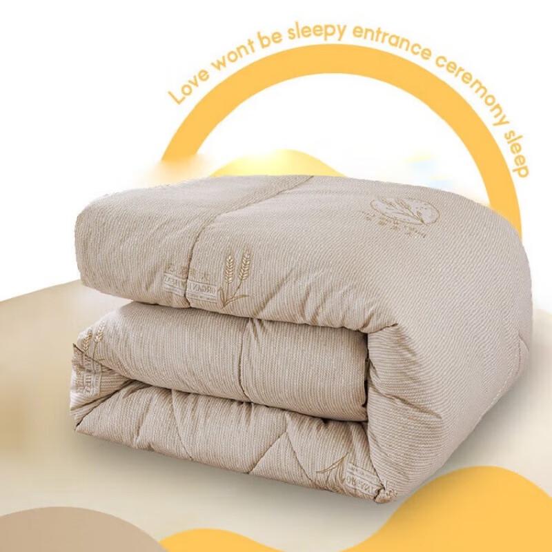 Hongdou Cloud Barley Feather Silk Winter Quilt