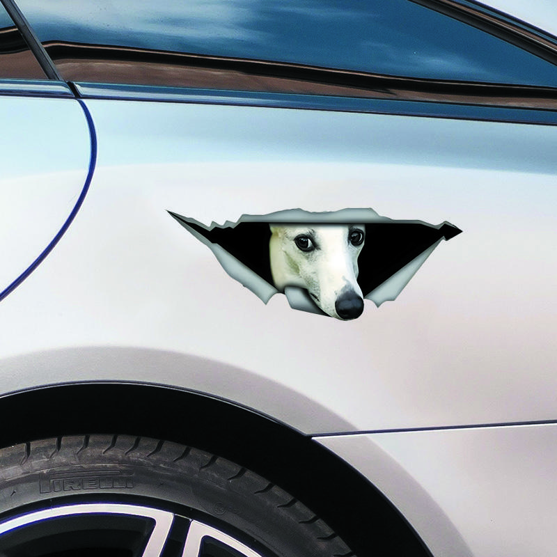 DS81#30x11.5cm  Creative Car Sticker White 3d Pet Dog Accessories Vinyl Car Styling Cover Scratches