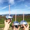 Party Flashlight Sparkly with Straw Disco Ball Cup Wine Goblets Bar Tools Cocktail