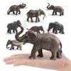 Wild Animal Model: Asian Elephant & Mammoth Cognitive Toy Decor for Kids