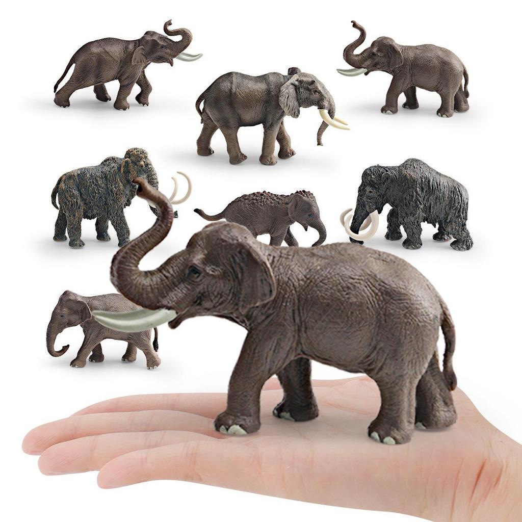 Wild Animal Model: Asian Elephant & Mammoth Cognitive Toy Decor for Kids