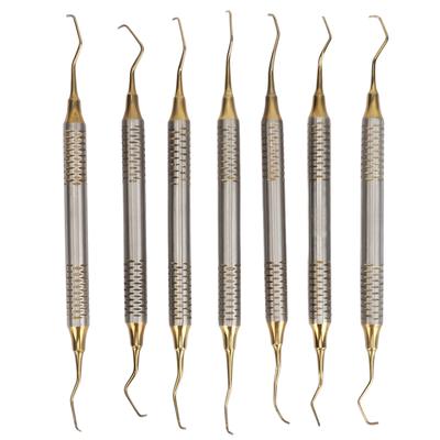 7 Pieces Teeth Plaque Remover Kit Multiple Shapes Metal Cleaning Pick Dental Hygiene Scraper Tool