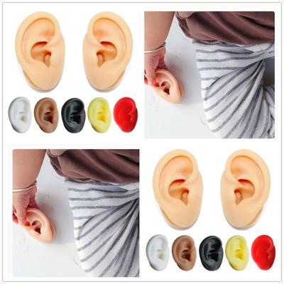 Silicone Ear Model Reuseable Ear Stud Display Tools New Piercing Model  Medical Teaching Props