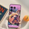 Süße Yorkshire Terrier Hülle Für OnePlus Nord 5 CE 2 3 4 Lite N20 N30 OnePlus 15 13 12 11 13T 10T 10R 12R 13R Cover