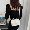 PU Versatile and Fashionable Portable Small Square Bag Single Shoulder Crossbody Bag Luxury Designer Handbag AVE