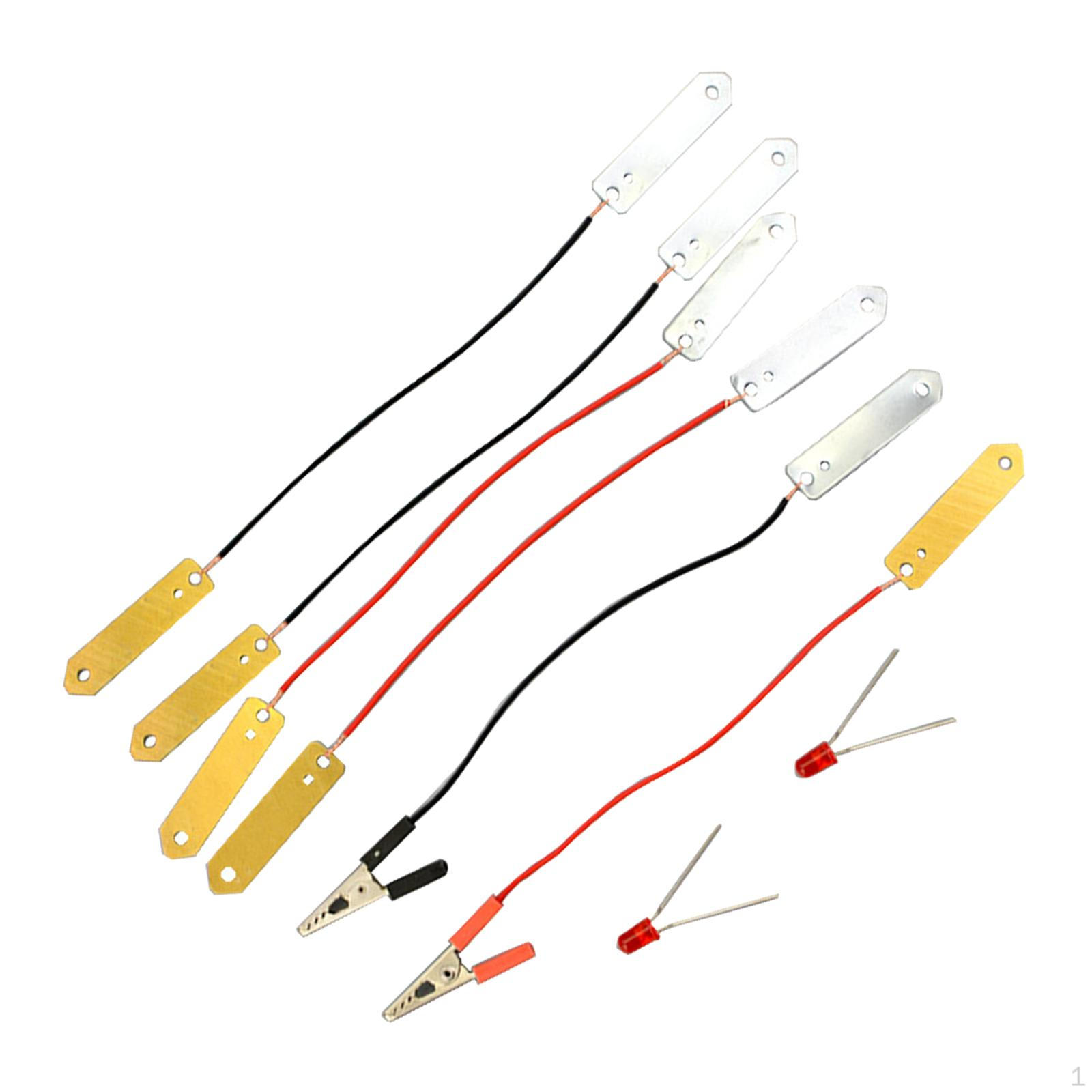 Fruit Energy Science Experiment Kit Lab Kits with Copper Sheets, Zinc Sheets Physic