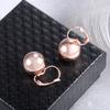 Spherical Pendant Earrings, Paired with Circular Ear Loops, Minimalist Eye-catching Jewelry, Suitable for Daily and Casual Wear