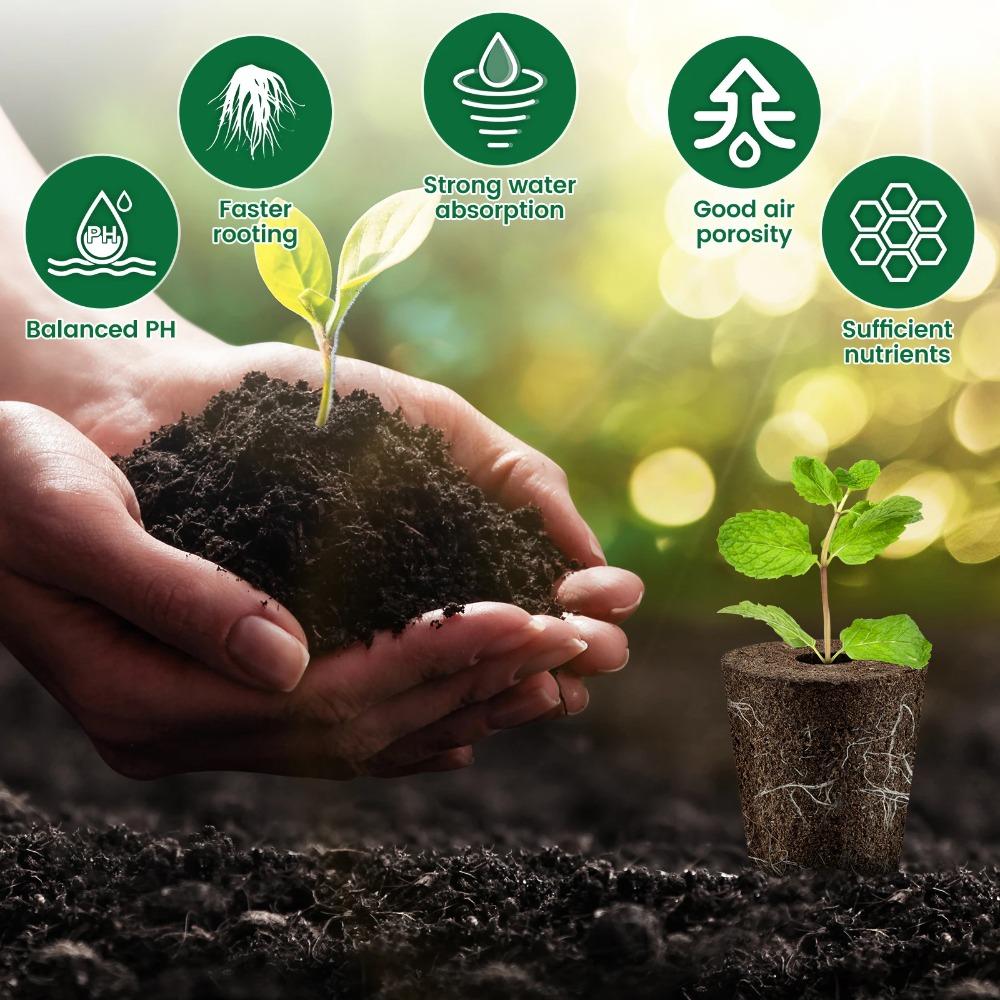 Gąbki do kiełkowania nasion Zamienne gąbki do ukorzeniania Sadzonki wtyczki startowe Kapsułki z nasionami Ogród hydroponiczny Sadzenie