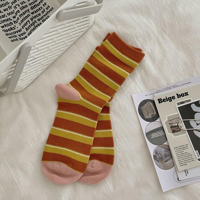 Striped Mid-Leg Socks Ceiling Xiaohongshu Exploration Store Recommended Colored Striped Mid-Length Socks Collection