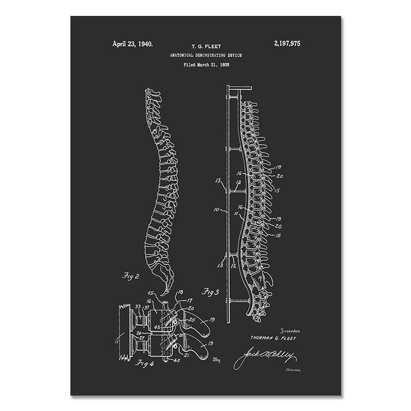 Anatomy Muscle Bone Black and White Canvas Painting Skeleton Organ Wall Art Modern Pictures Posters for Doctor Office Home Decor