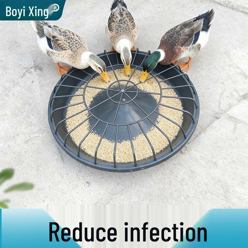Automatic Thickened Chicken & Water Feed Trough for Free-Range Poultry