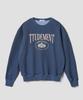 TTUDEMENT Vintage Overfit Graphic Sweatshirt_Navy