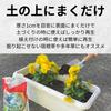 Natural Applied Science Recycled Soil Material That Revives Just by Sprinkling 14L It,