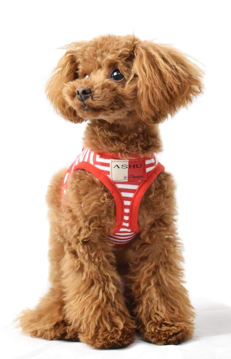 

Dog Wear Harness and Border Tezukayama Small and Medium Dogs Harness Chest circumference [ASHU] Leash, Red, Houndcam, (SS, S, M, L) (Wear (SS