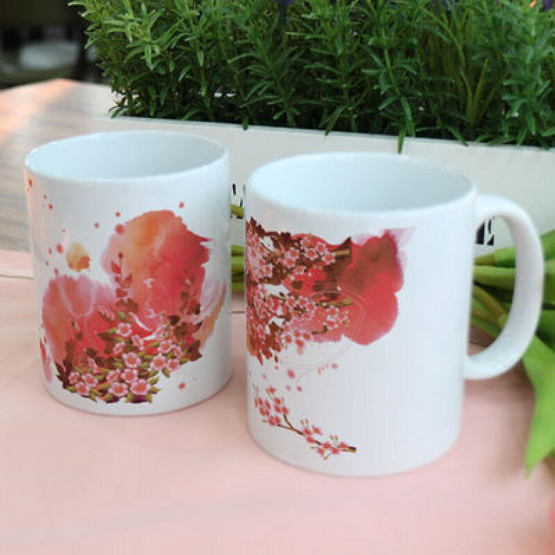 tk417-Design Mug 2p-Spring and Rose of Sharon
