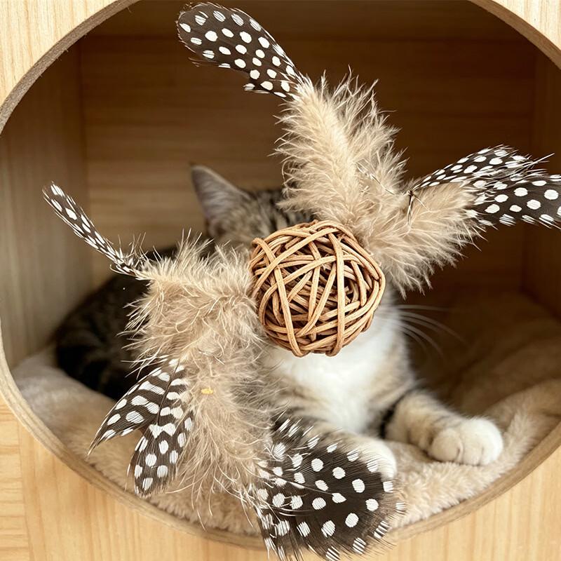 VZZS Rattan Ball Feather Cat Toy Set