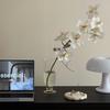 Vintage Style Transparent Crystal Glass Vase for Hydroponic Fresh Flowers - Versatile Chinese Floral Arrangement Vessel