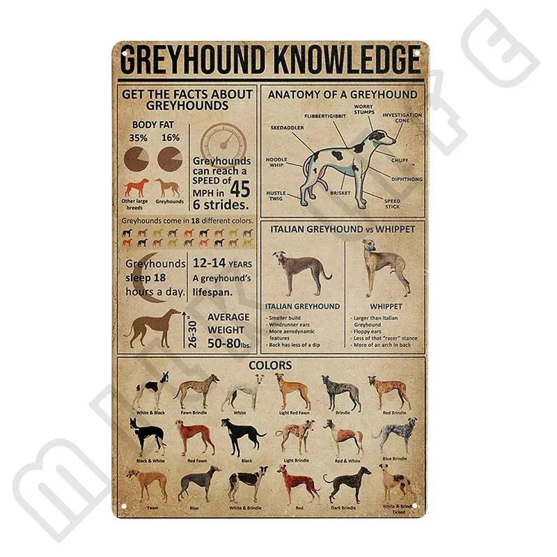 Windhund Metallschild Ich bin dein Freund Ich bin dein Windhund Poster Badezimmerzimmer Küche Garage Zuhause Kunst Wanddekoration