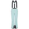 Womens/Ladies Diminish Insulated Ski Trousers