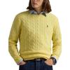 Polo Ralph Lauren Cable Knit Pullover Sweater Men sweater 710876762-030