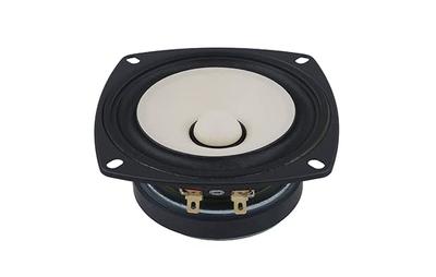 10cm Full Range Unit FE103NV2