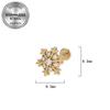 Titanium 316L Stainless Steel Luxury Snowflake Butterfly Earrings & Lip Studs
