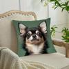 Capas de Almofada Decorativas com Estampa de Chihuahua para Cadeira Sala de Estar Capa de Almofada Aconchegante com Zíper Capas de Almofada para Sofá Quarto Decoração de Casa Interior