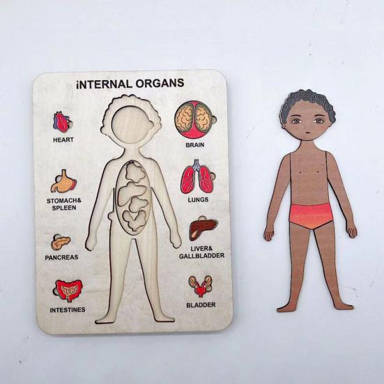 Cognition Easy To Assemble Fun Smooth Surface Boys Girls Anatomy Play Set Wooden Jigsaw Board Puzzle