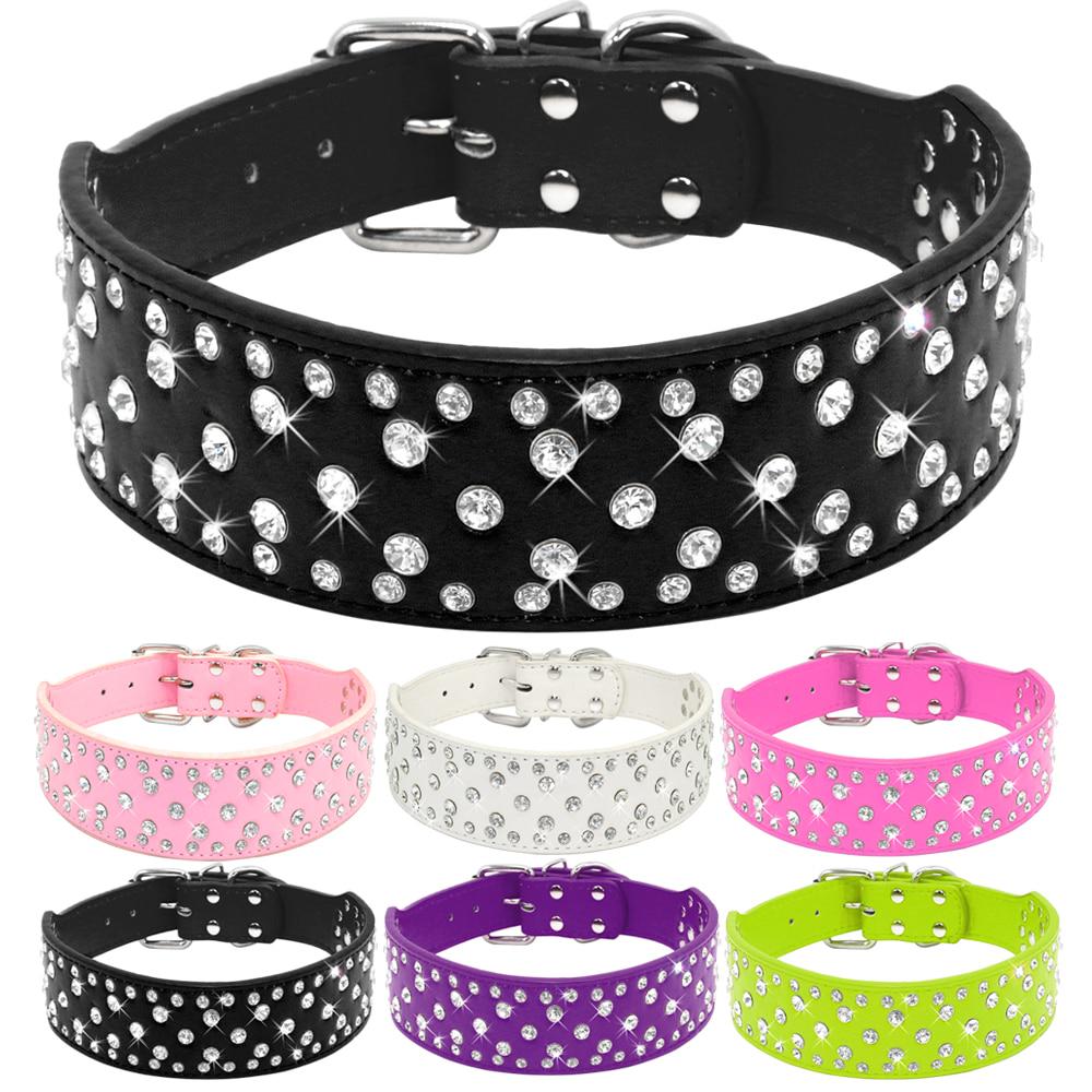 diamond studded dog collar