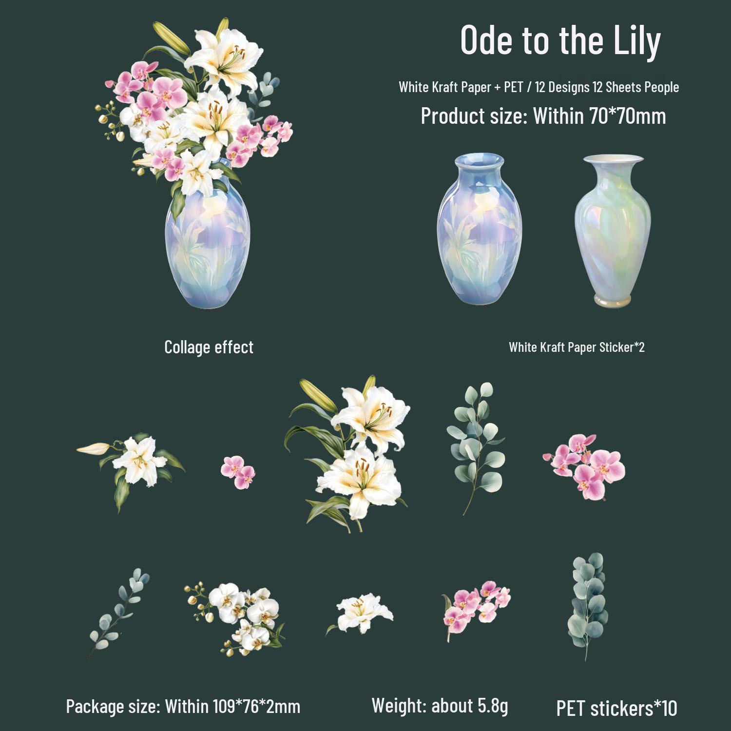 

Dark Shadow Flower Inflorescence Series: Sticker Pack for Journaling & Collage - 6 Styles