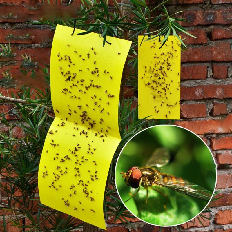 Premium 5pcs Outdoor Yellow Sticky Glue Flying Pest Insect Papers Traps For Bugs