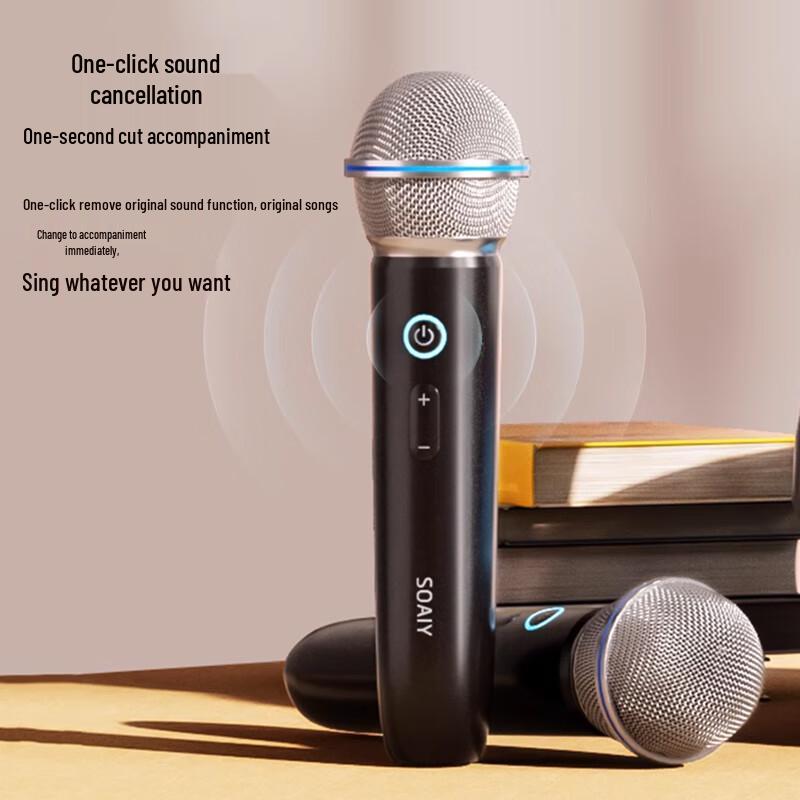 Soaiy Portable Bluetooth K-Song Speaker