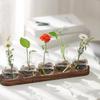 BHBL Plant Terrarium Propagation Station, Glass Planter Bulb Vase with Wooden Tray, Modern Bud Vases for Living Room