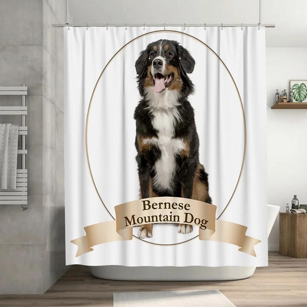 Adorable Bernese Mountain Dog Shower Curtain Modern Bathroom Decor With White Frame Printing