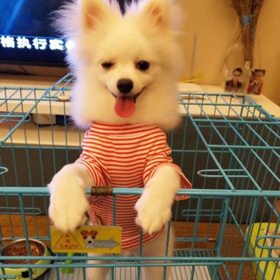 Pet Shirt Round Neck Breathable Decorating Pet Dog Short Sleeve Shirt Outfit for Home Wear